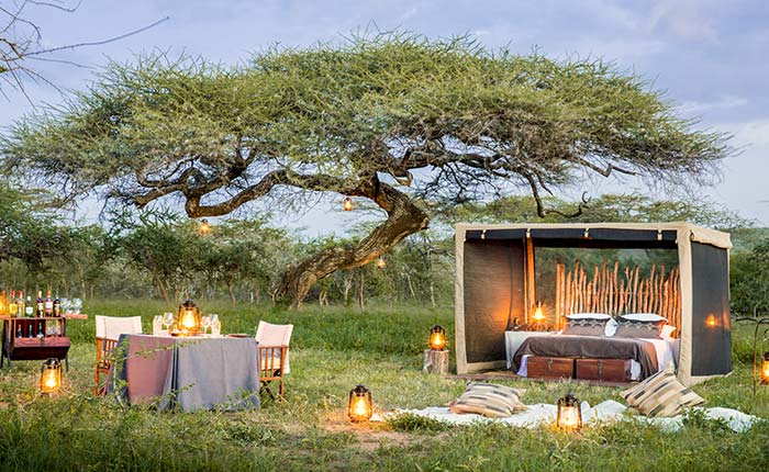 mwiba-lodge-5