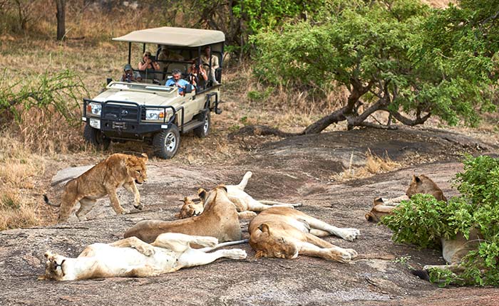 mwiba-lodge-6